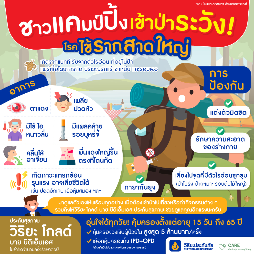 โรคไข้รากสาดใหญ่ ชาวแคมป์ปิ้งต้องระวัง