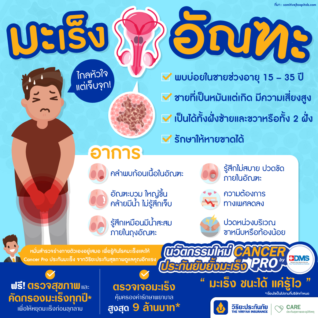 มะเร็งอัณฑะ ประกันโรคร้ายแรง