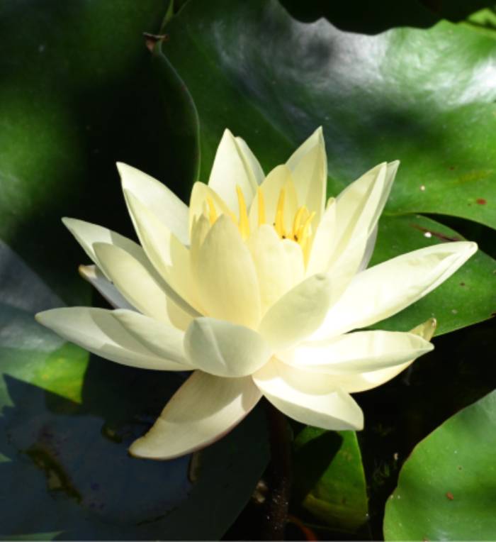 รีวิวสถานที่ถ่ายทำ The White Lotus 3 Season