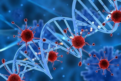 which-stage-of-cancer-tells-you-what