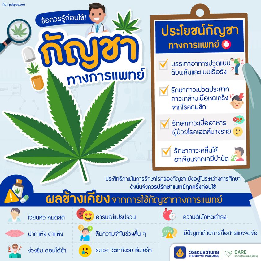 ประโยชน์กัญชาทางการแพทย์ วิริยะประกันสุขภาพ