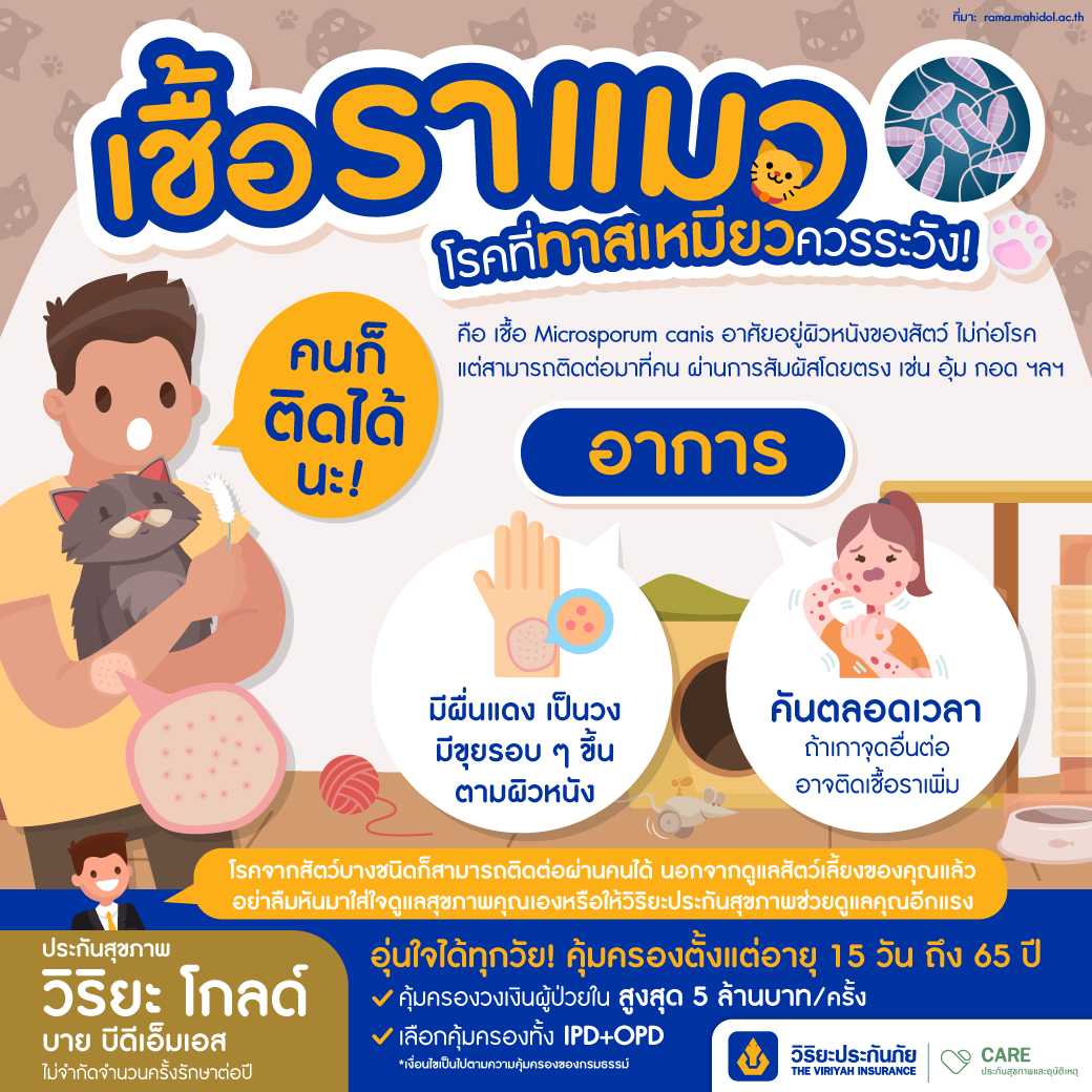 เชื้อราแมว โรคที่คนก็เป็นได้ ประกันสุขภาพวิริยะ