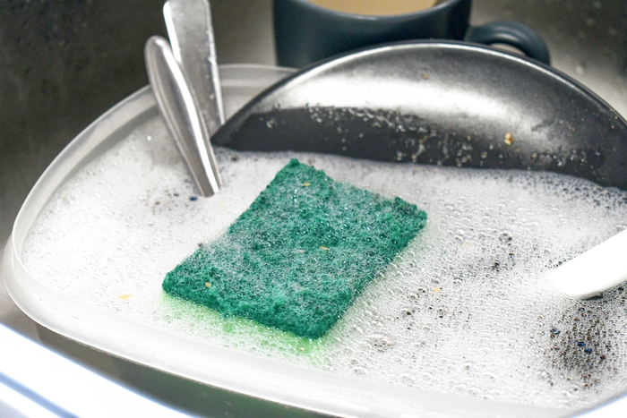 ฟองน้ำล้างจานสกปรกเทียบเท่าอุจจาระ