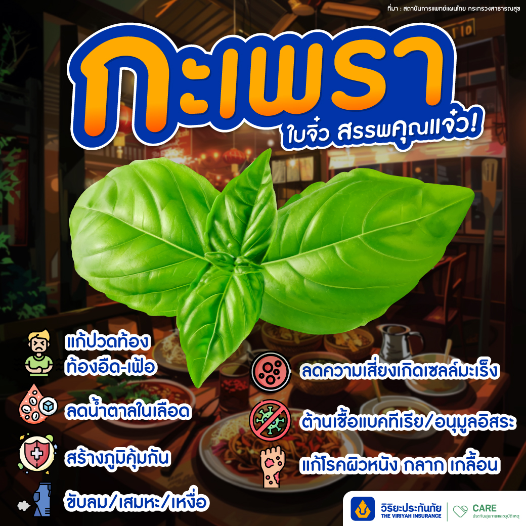 ใบกะเพรา มีสรรพคุณรักษาโรค