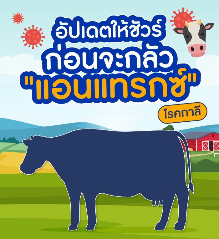โรคแอนแทรกซ์